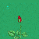 /album/photo-gallery-photogallery/as-1-gif/